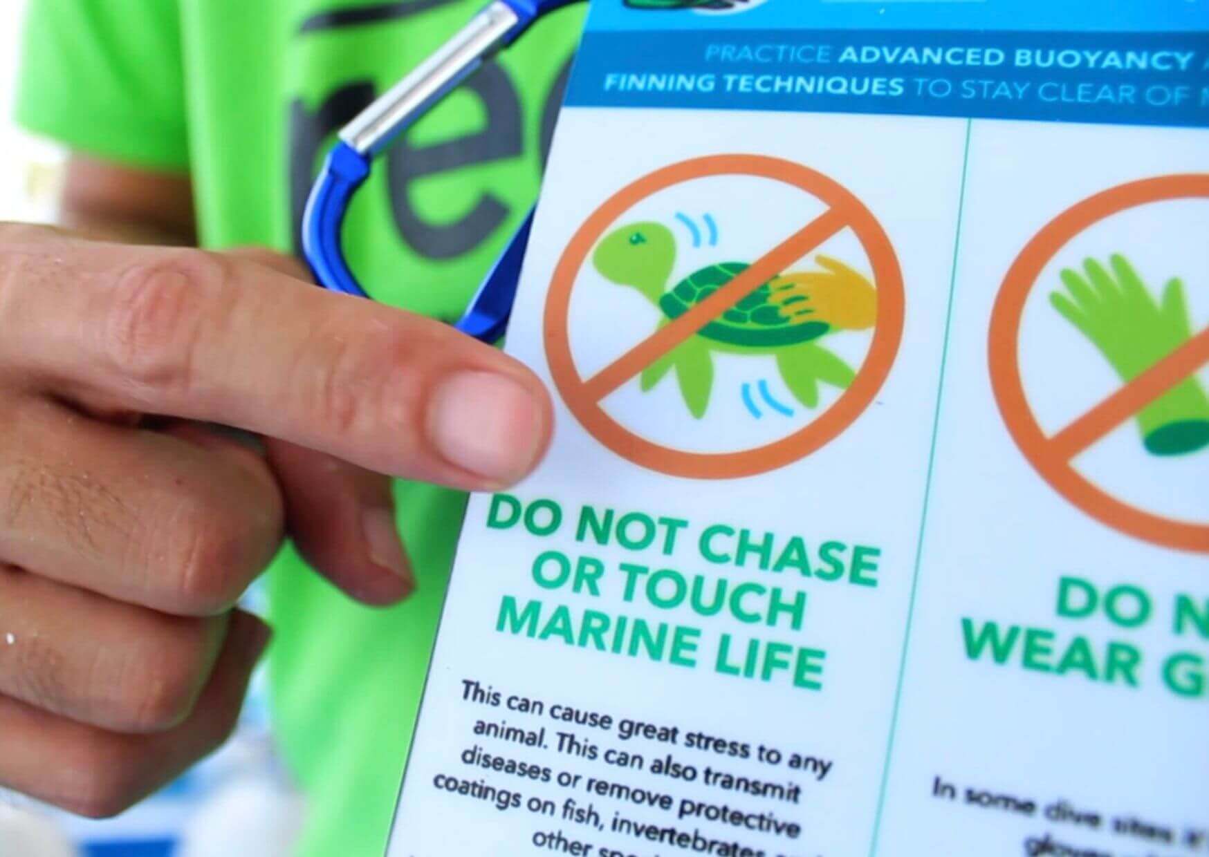A hand in a Green Fins shirt holding a laminated diver code-of-conduct card, the panel reading do not chase or touch marine life facing the camera