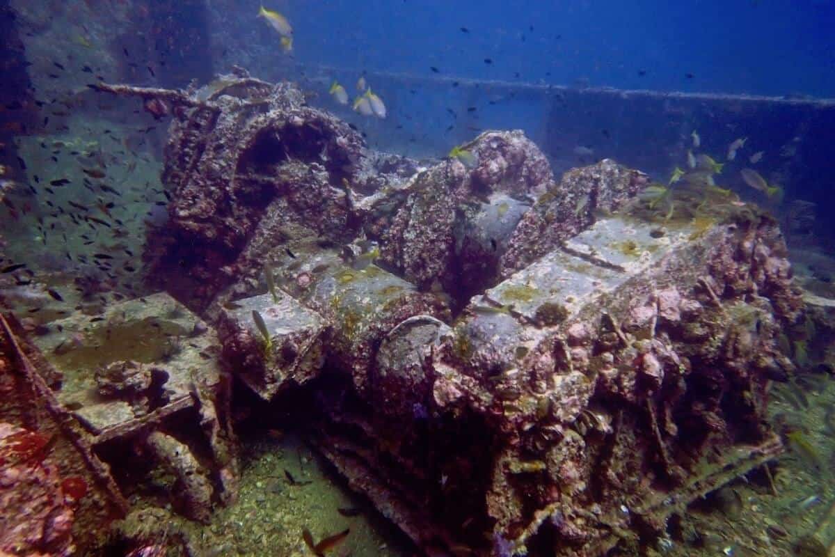 Encrusted engine machinery on a sunken ship with yellow-striped snapper swimming around it