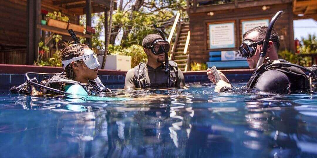 Three people in masks and snorkels at the surface of a pool beside a wooden dive centre