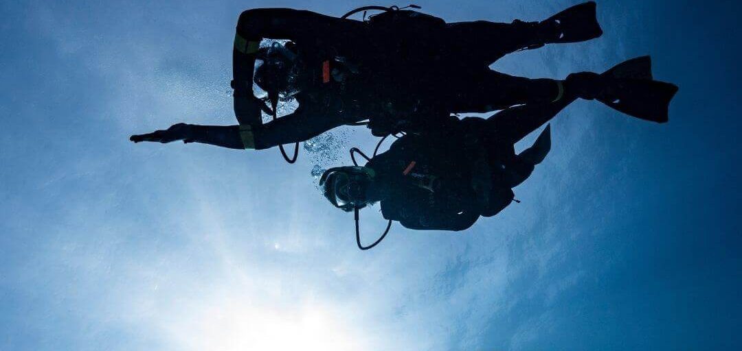 Two divers silhouetted against the bright surface, seen from below with sun flare behind