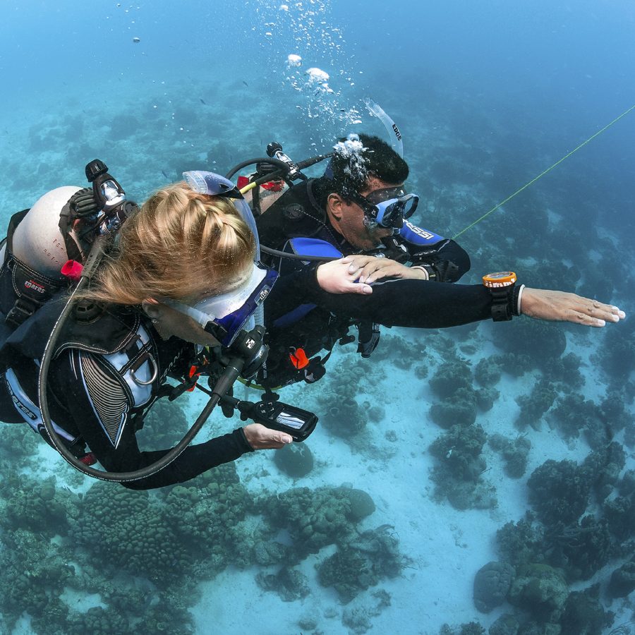 An instructor and a student hovering above a reef, sunlight on the water (PADI)