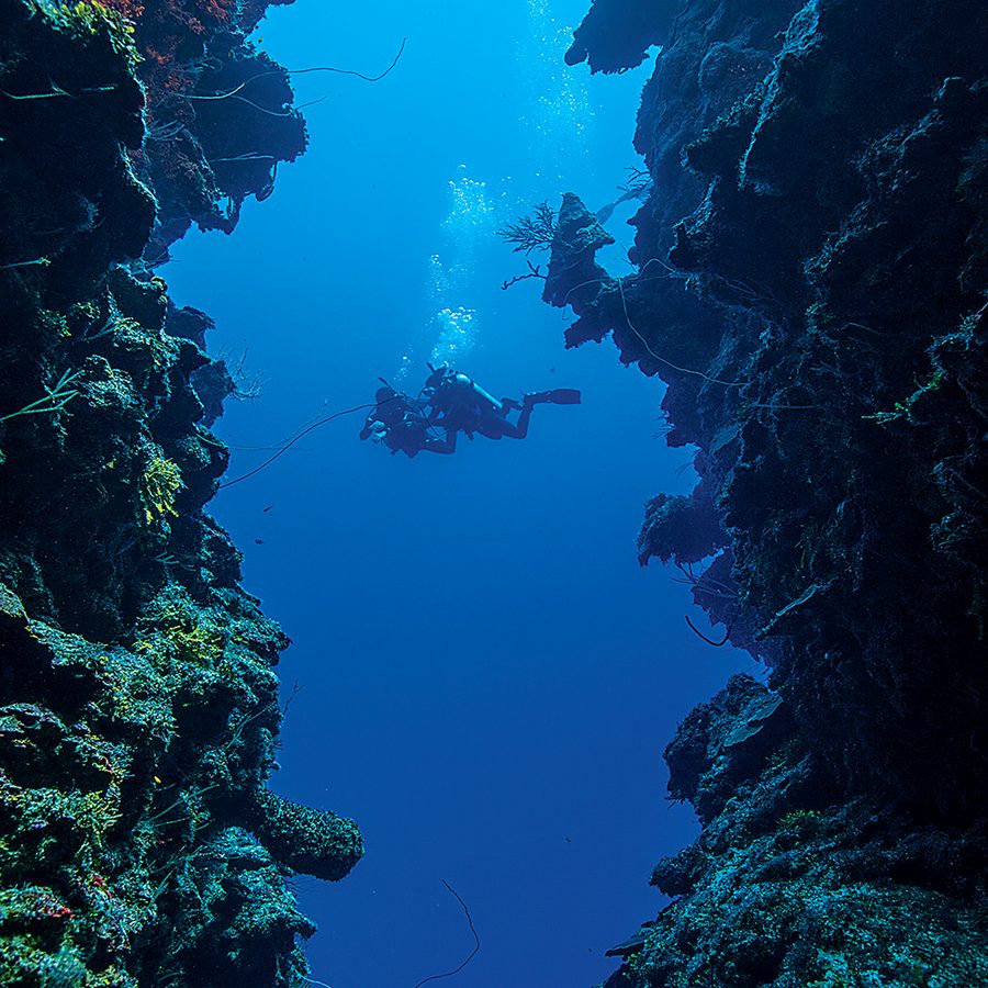 Divers descending along a deep blue wall (PADI)
