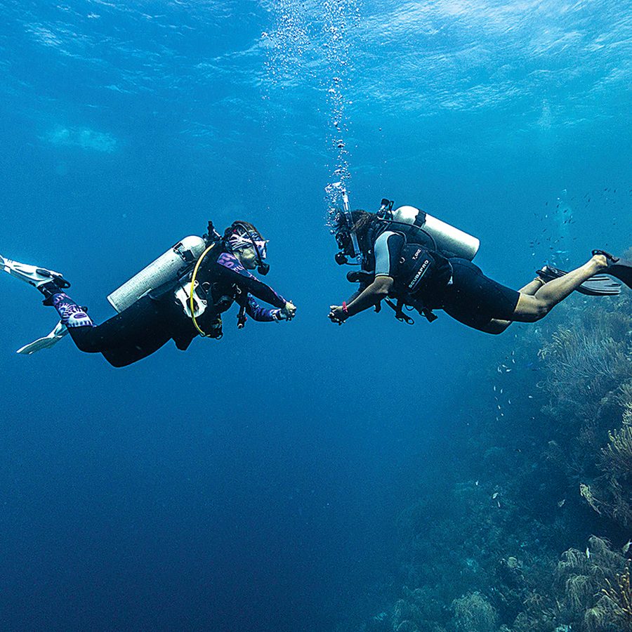 A diver hovering motionless above the sand (PADI)