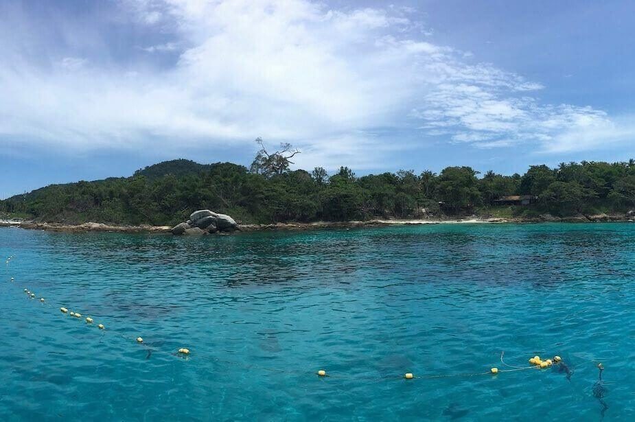A forested island shore seen from the water, snorkellers in the bay