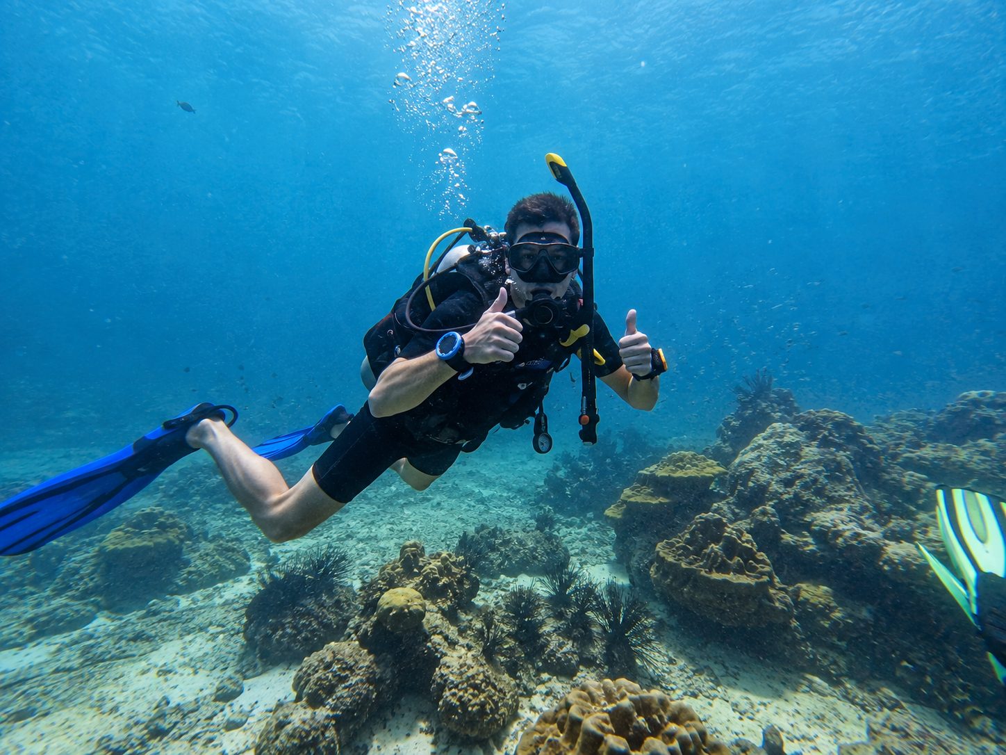 A diver signalling OK over the coral