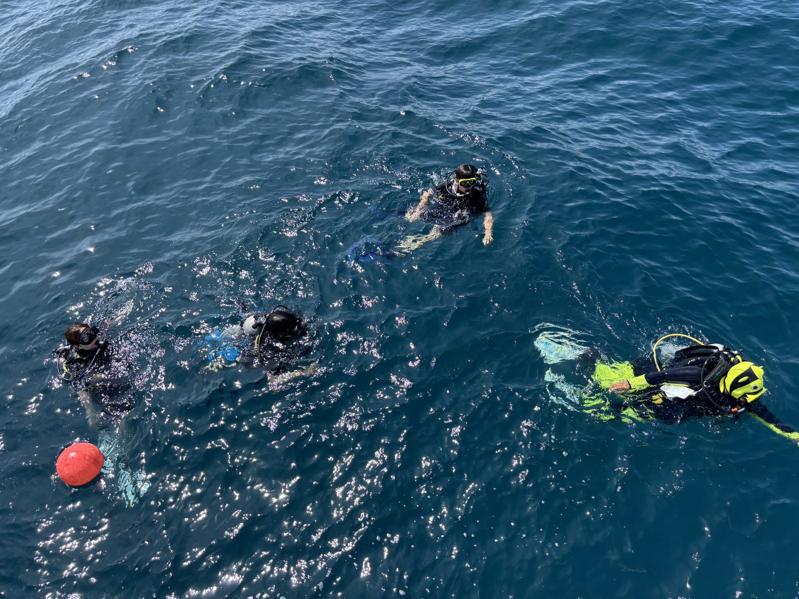 Divers at the surface beside the boat, seen from above
