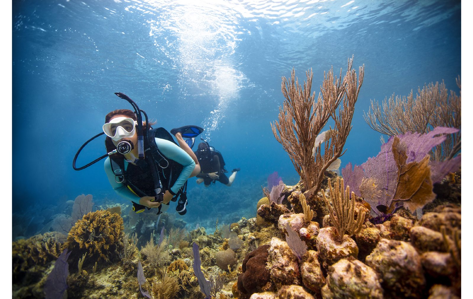A diver ascending past sea fans towards the sunlit surface (PADI)