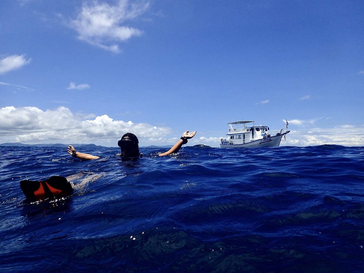 More dives or more dive quality