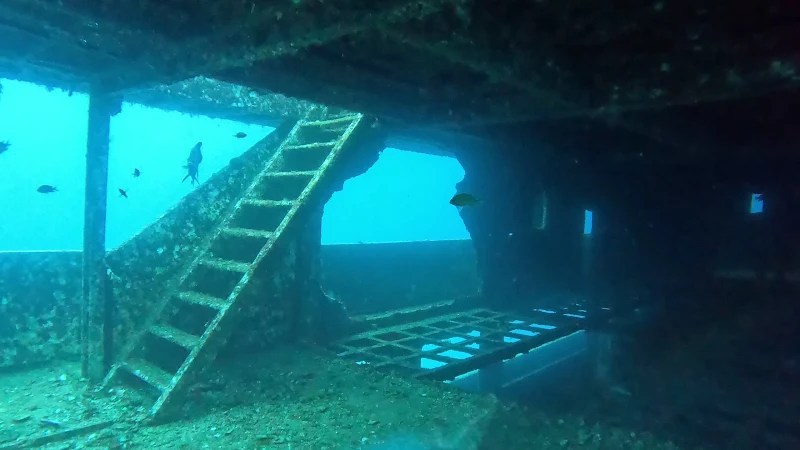 Inside a wreck: a stairway and open windows