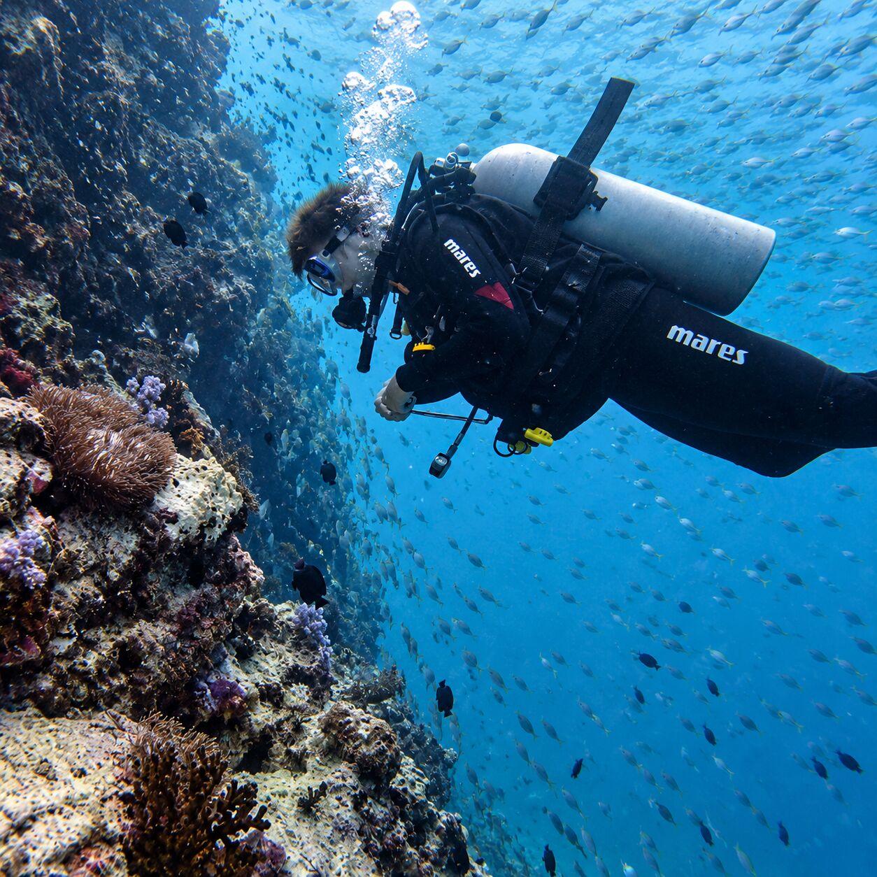 Looking for the small stuff at Anemone Reef
