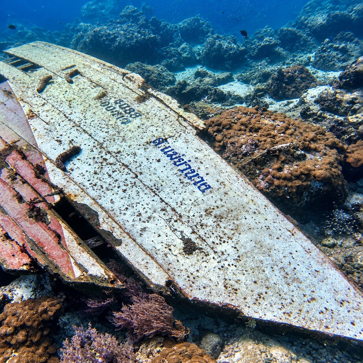 Small boat wreck at Green Island