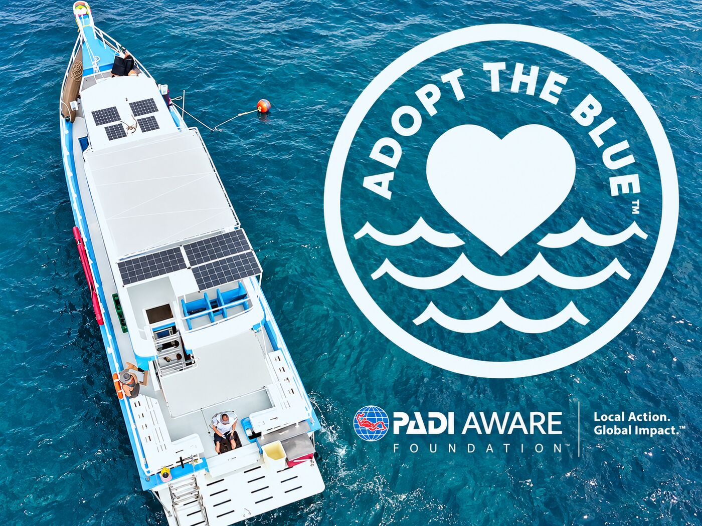 Adopt the blue at Koh Mai Thon