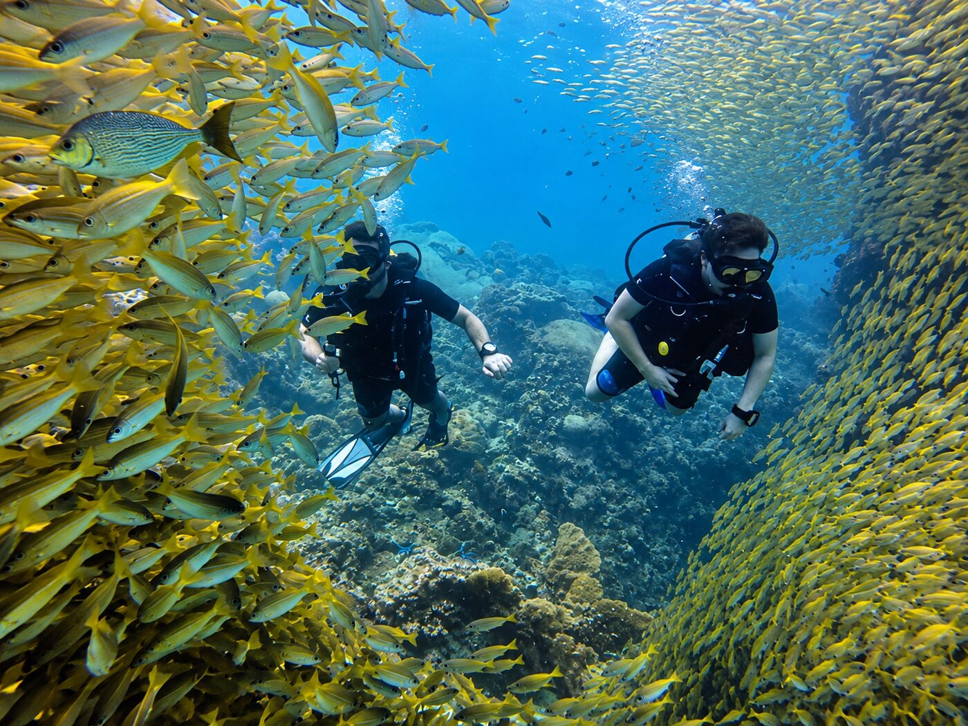 Divers in yellow snapper cloud at Koh Bida Nok, Phi Phi