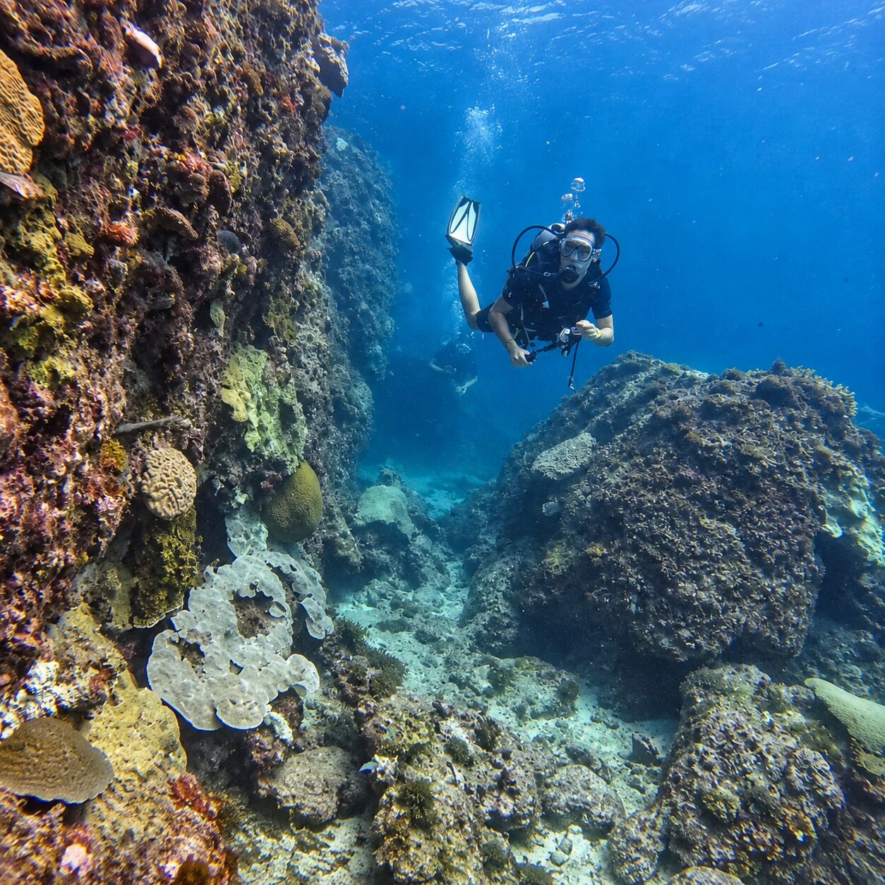 Diver at Hin Dot, Phi Phi