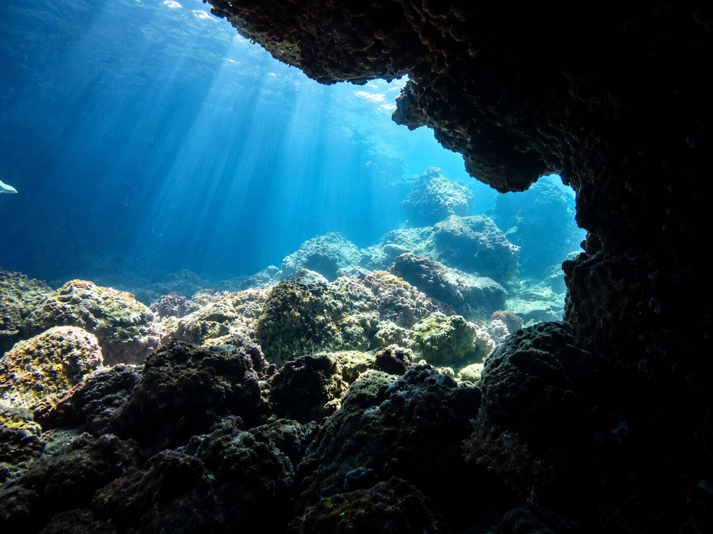 Cave at Turtle Rock, Phi Phi