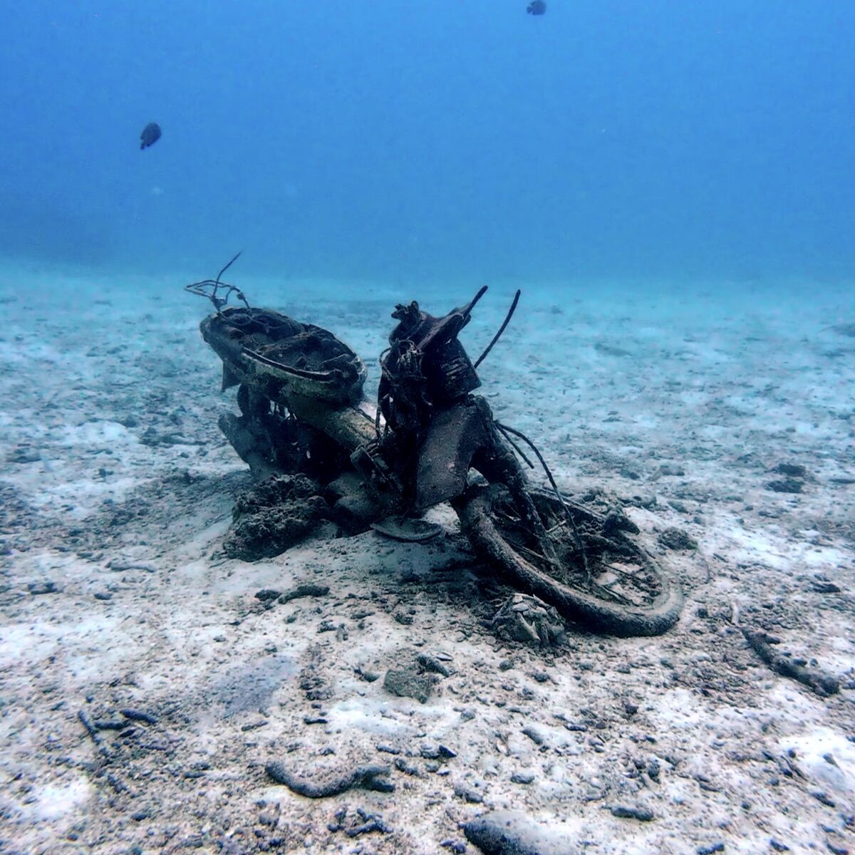 Motorbike at Bay 1 & 2, Racha Yai