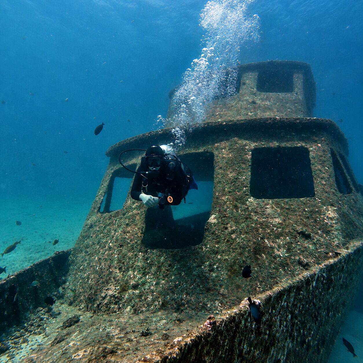 A diver looking out of the wheelhouse window of the Harruby wreck, Bay 1 & 2, Racha Yai
