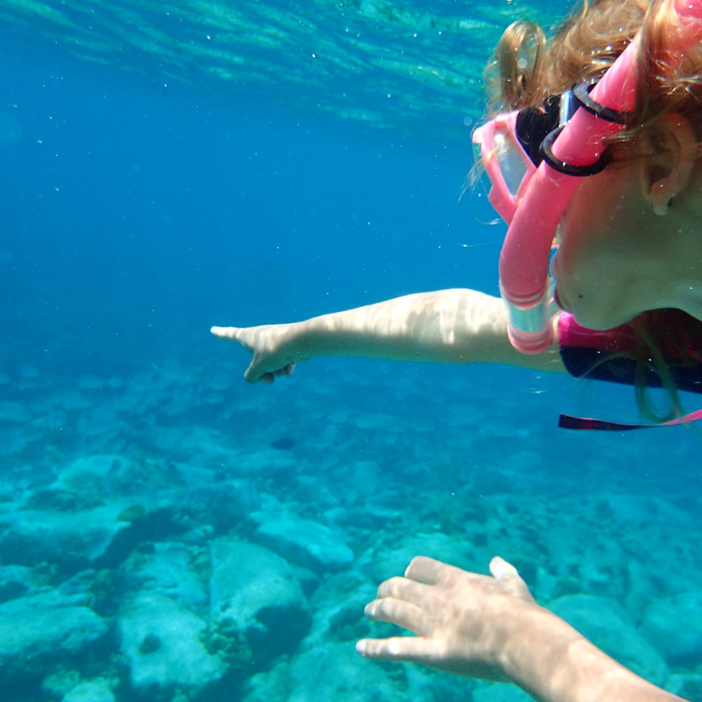 A snorkeller at the surface in a pink rash vest, seen from below over a shallow reef