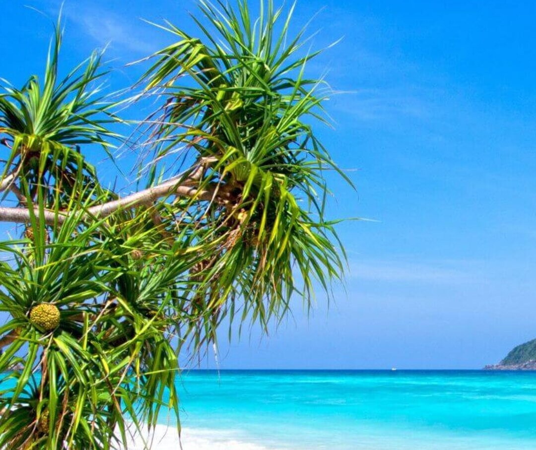 Similan Islands Tour