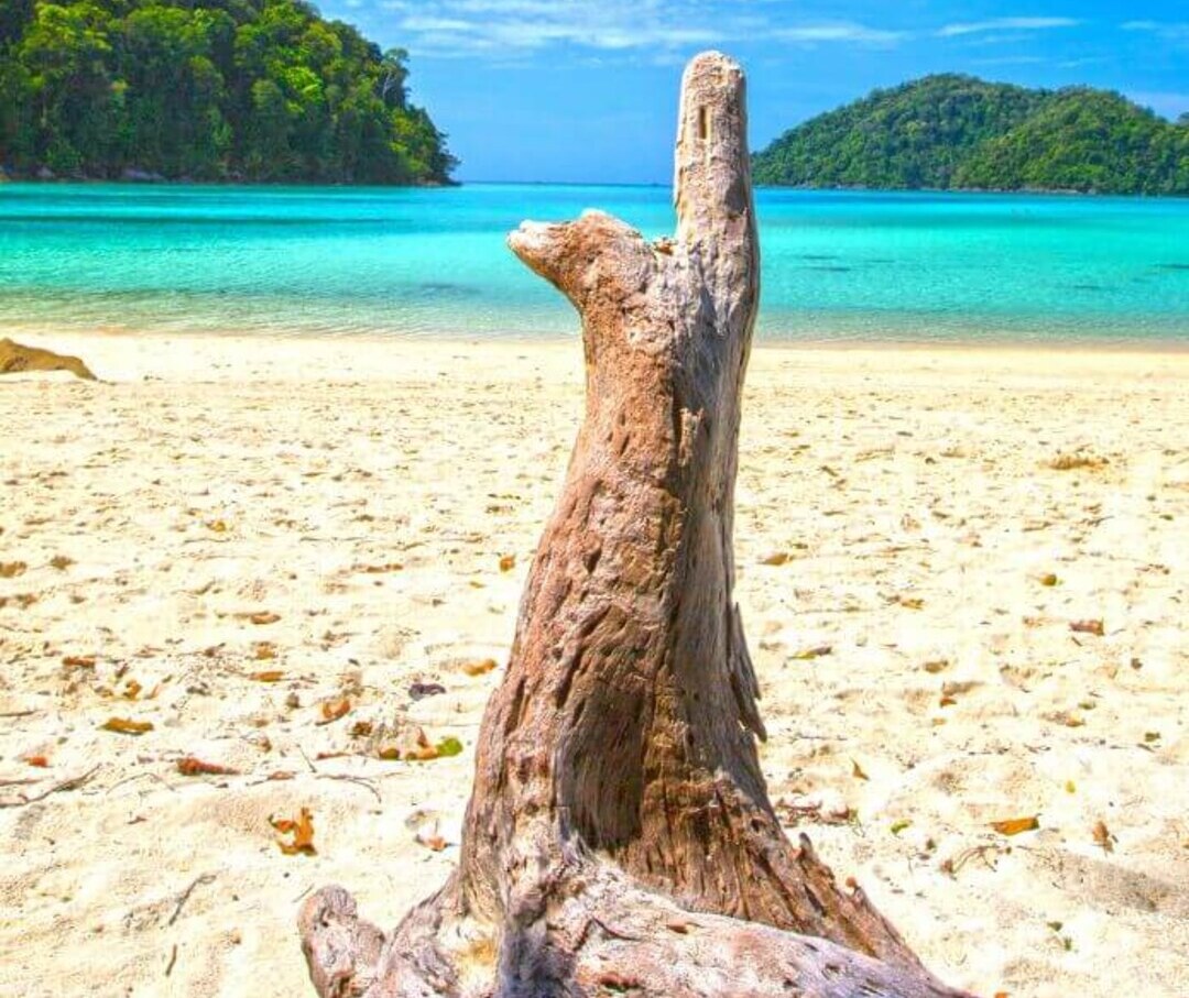 Surin Islands Tour