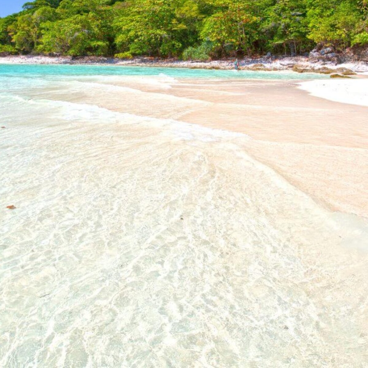 Sunlit white-sand beach beneath clear shallow turquoise water