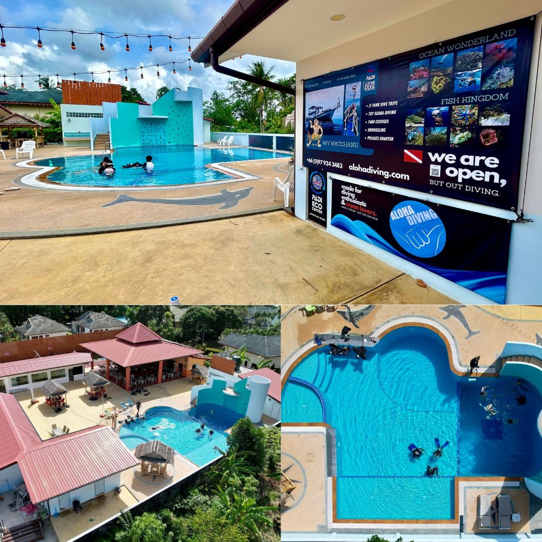 Three views of an Aloha Diving resort pool with divers training and a promotional banner