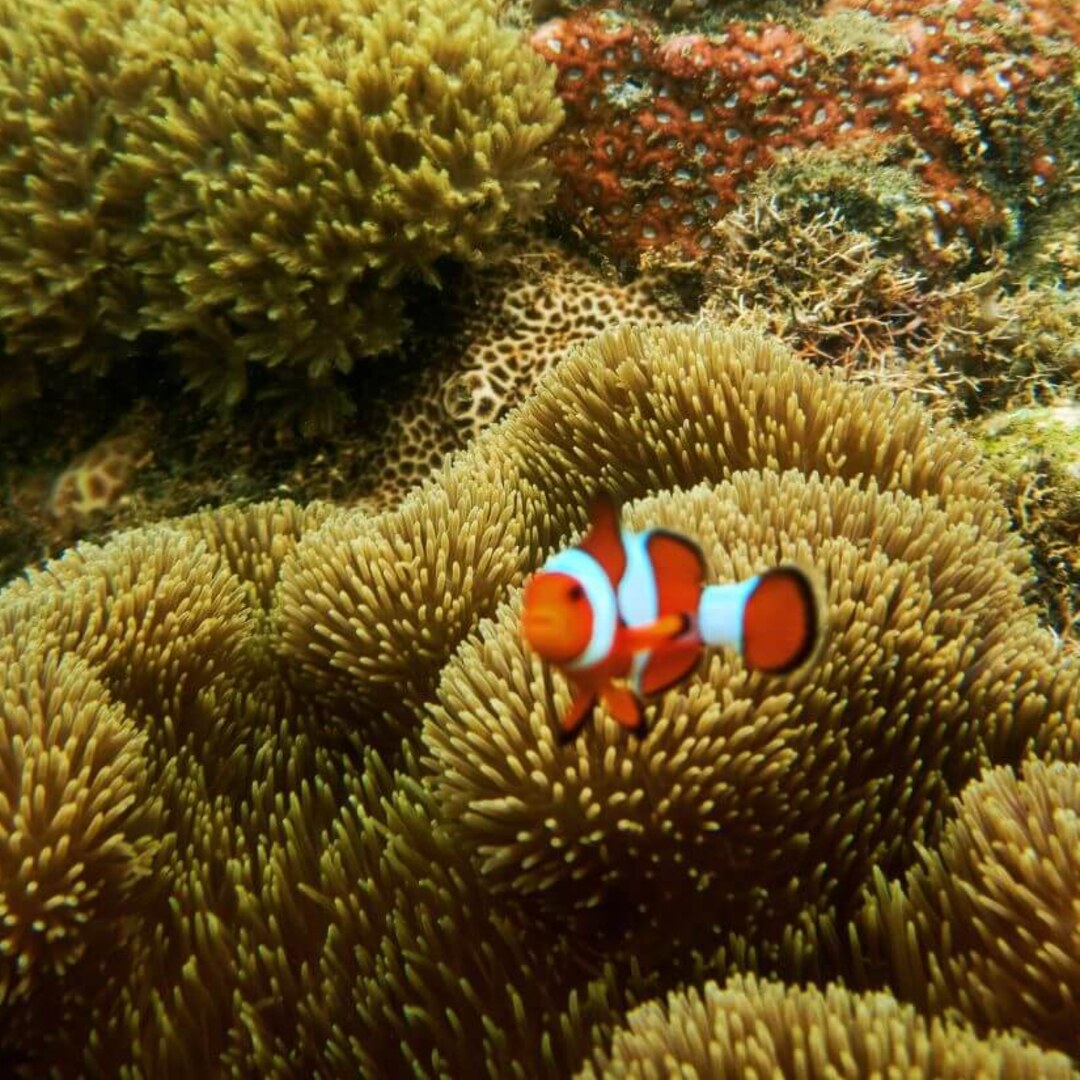 Krabi Highlights Tour