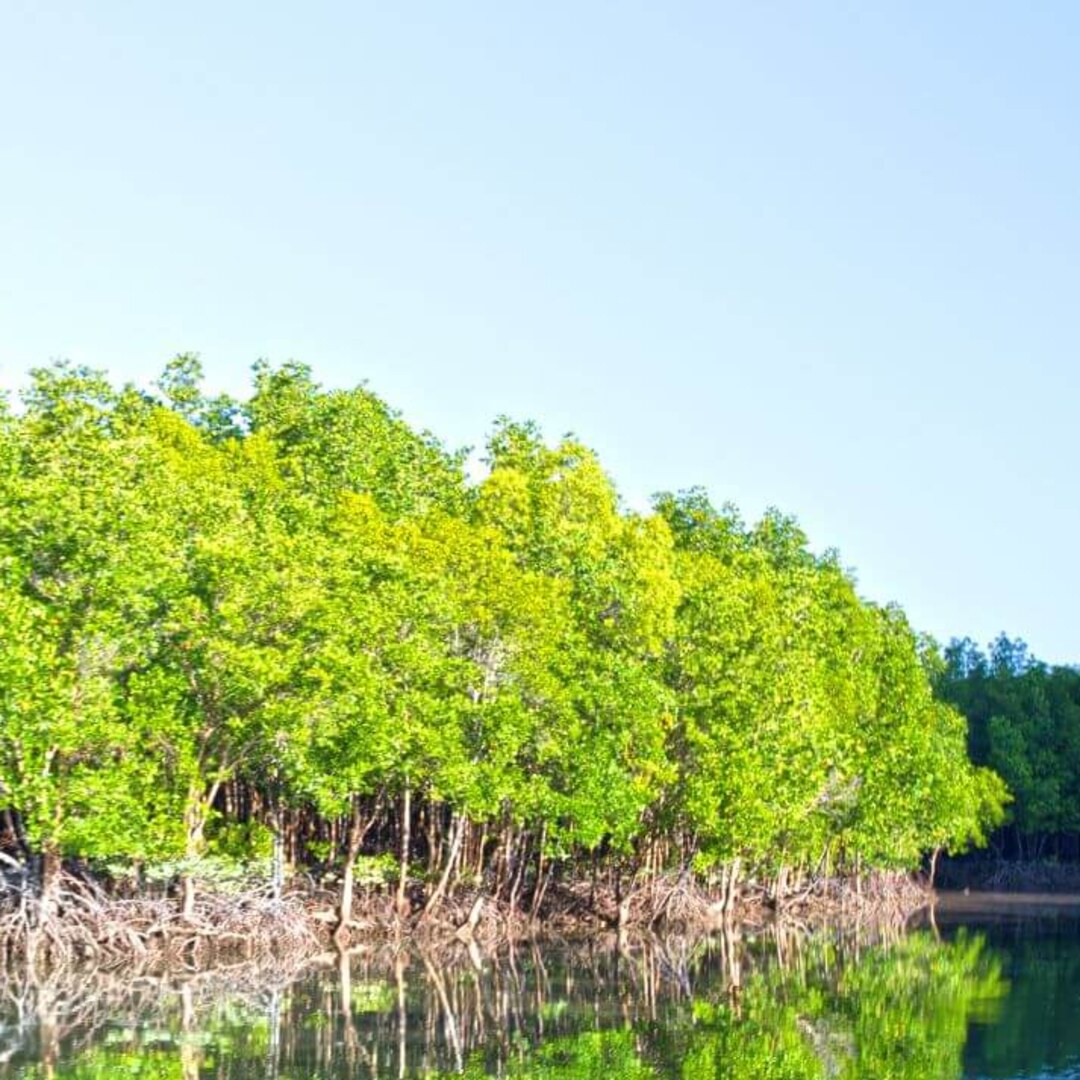 Phang Nga – James Bond & Beyond