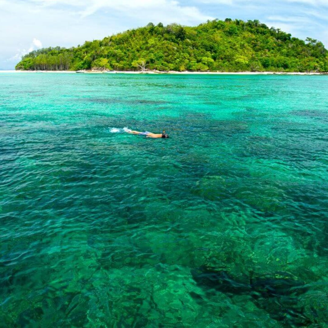 Phi Phi Islands Tour