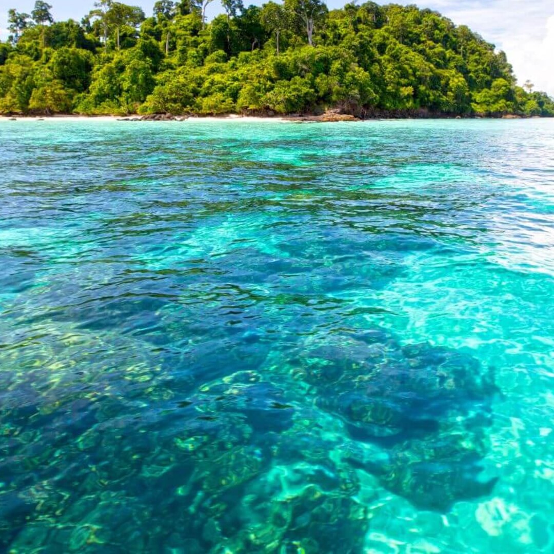Koh Rok & Koh Haa Tour