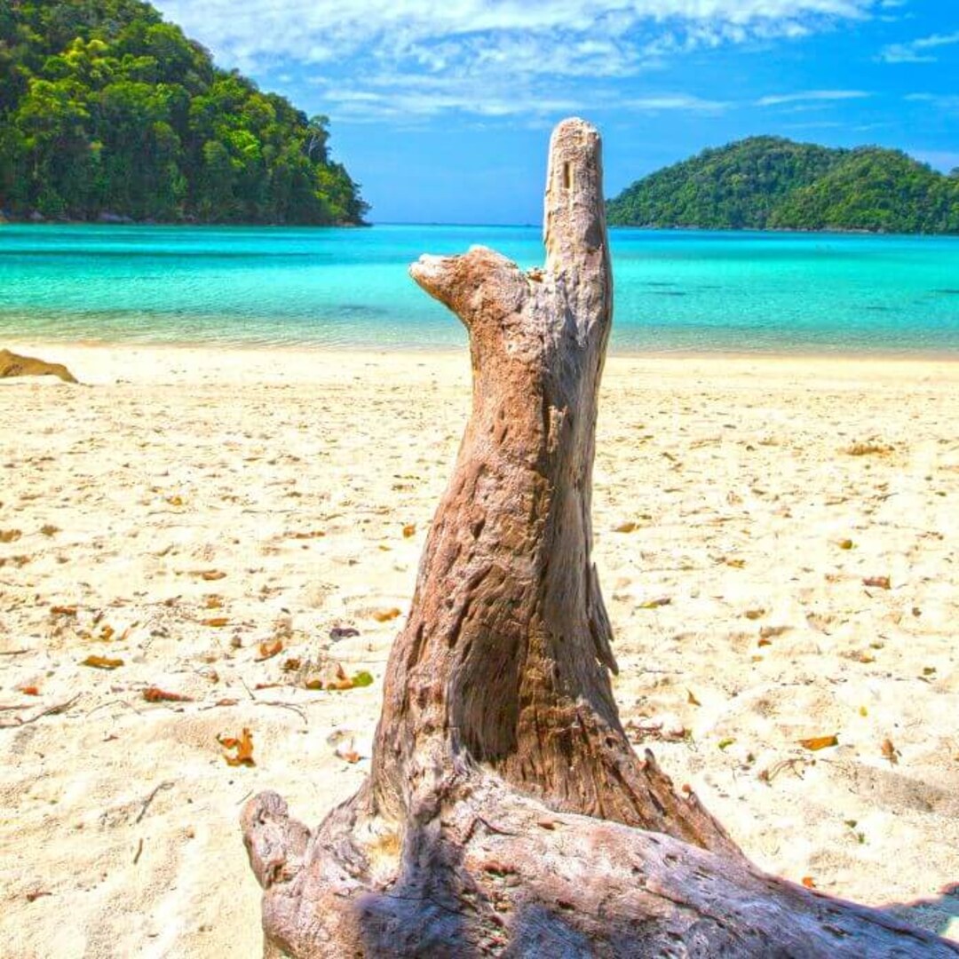 Surin Islands Tour