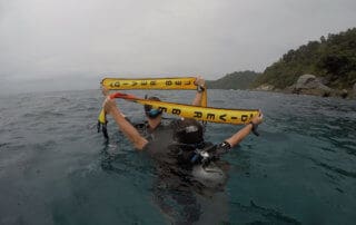 Referral PADI Open Water Diver Kurs Phuket