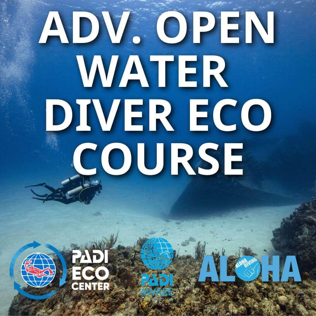 Advanced Open Water Diver Eco Course