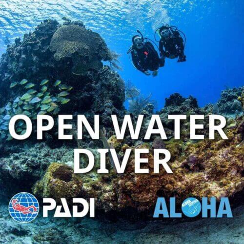 Open Water Diver Course in Phuket