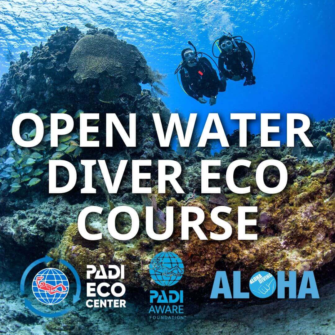 Open Water Diver Course with Aloha Diving and eLearning