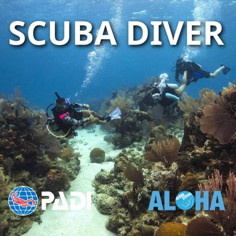 Scuba Diver Course in Phuket