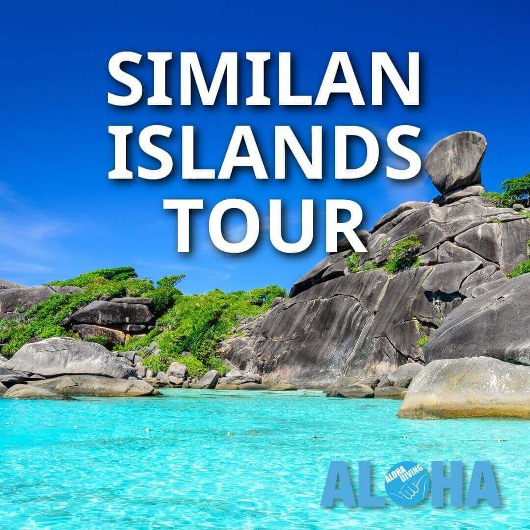 Similan Islands Tour - Aloha Diving Phuket