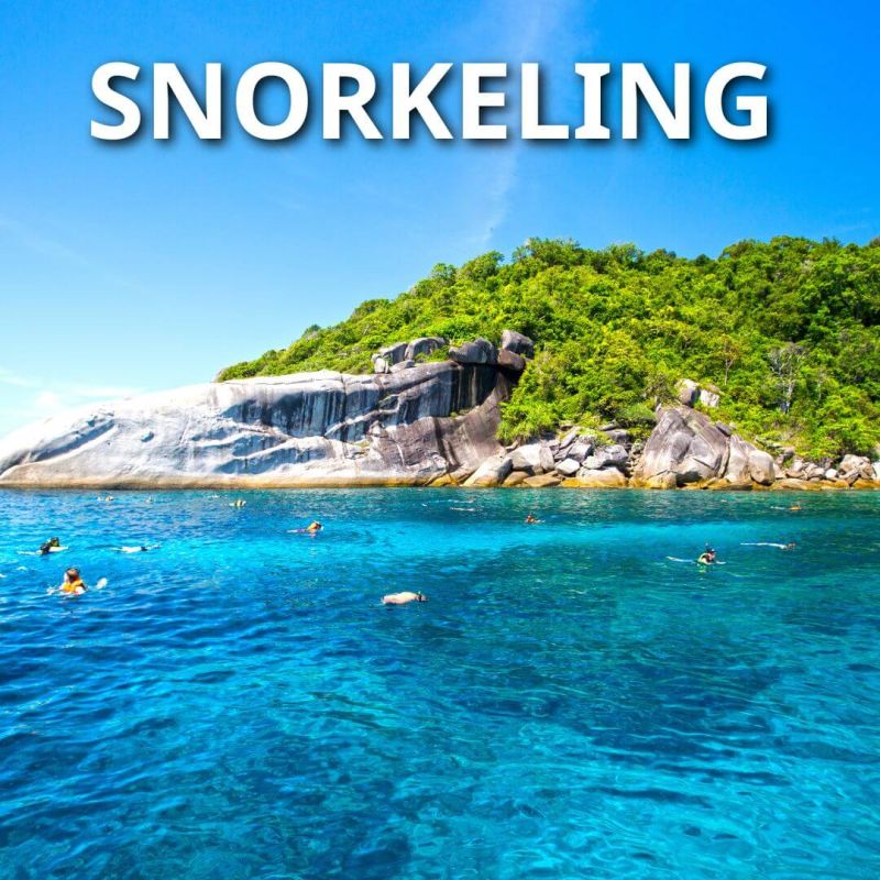 Similan Island Snorkeling