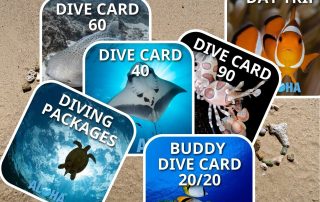 How to choose Thailand Scuba Diving Packages