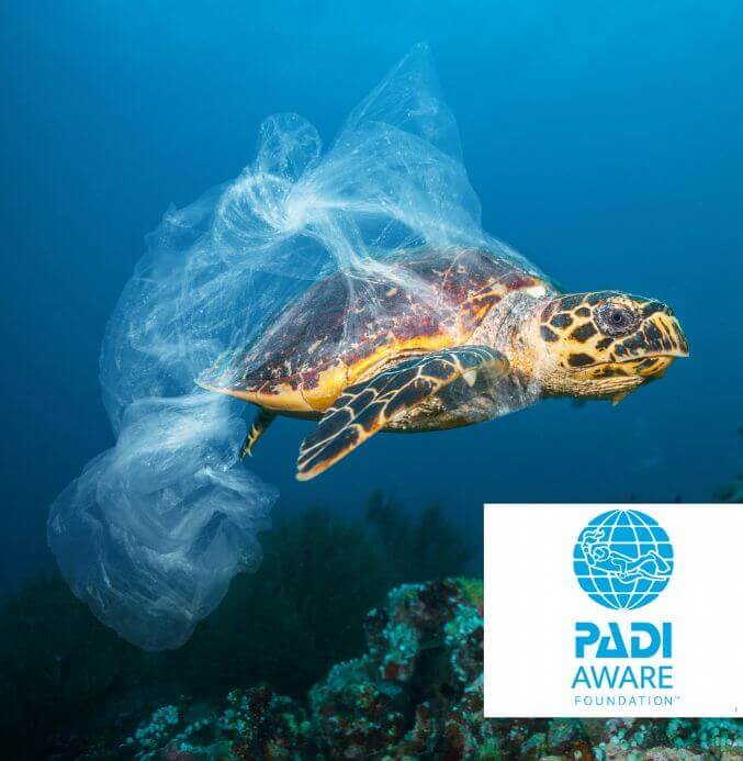 Marine Conservation and dive against debris