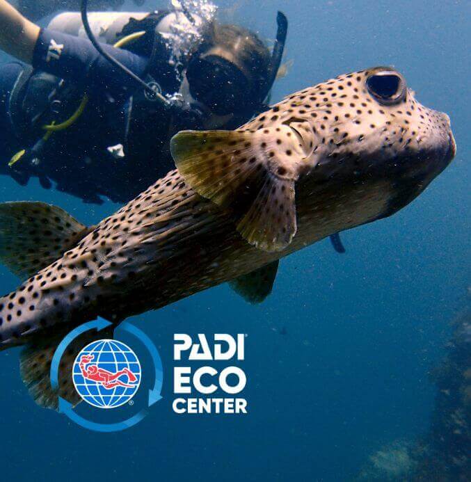 Marine Conservation as a PADI Eco center