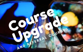 scuba diving referral courses and upgrades